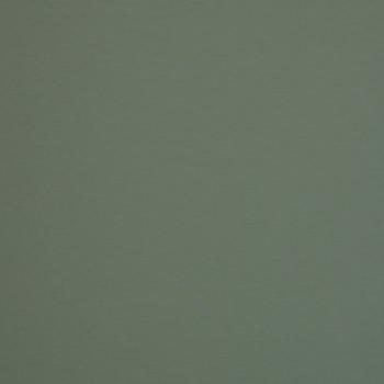 Preview: Swafing Vanessa Baumwoll Jersey Uni Altmint 265